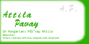 attila pavay business card